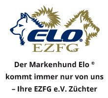 Elo EZFG e.V. Der Markenhund Elo ® kommt immer nur von uns - Ihre EZFG e.V. Züchter
